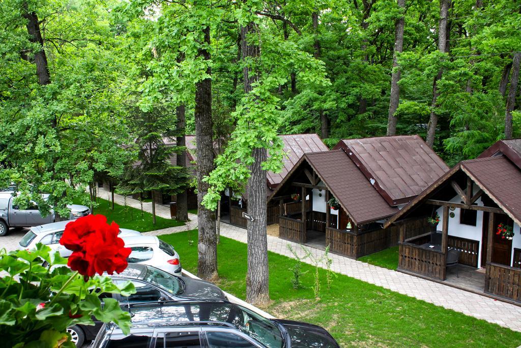 Cornul Vanatorului Bungalows Пітешть Екстер'єр фото