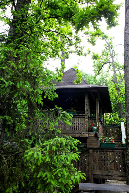 Cornul Vanatorului Bungalows Пітешть Екстер'єр фото