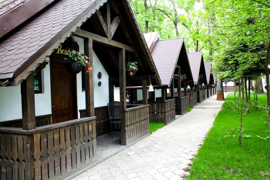 Cornul Vanatorului Bungalows Пітешть Екстер'єр фото