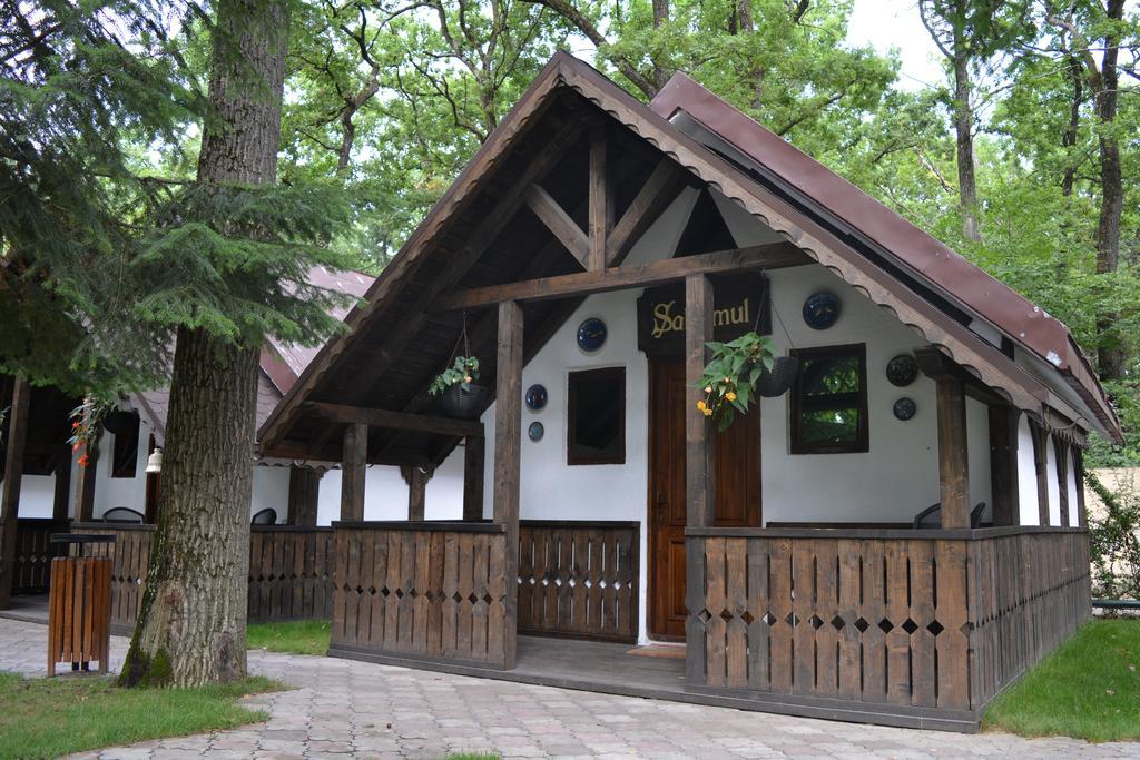 Cornul Vanatorului Bungalows Пітешть Екстер'єр фото
