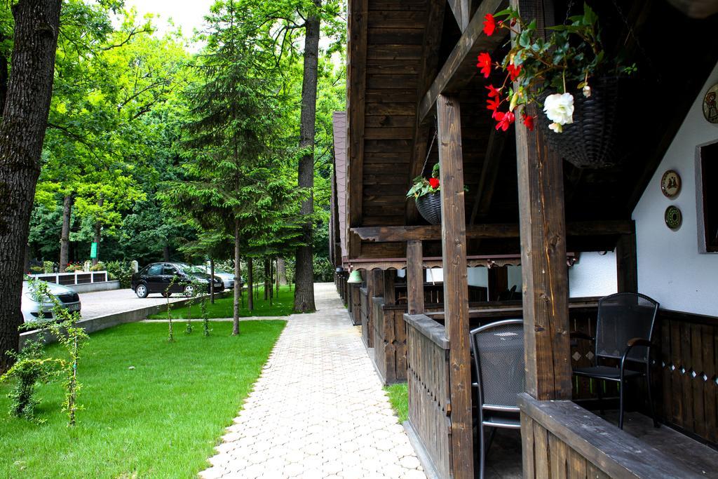 Cornul Vanatorului Bungalows Пітешть Екстер'єр фото