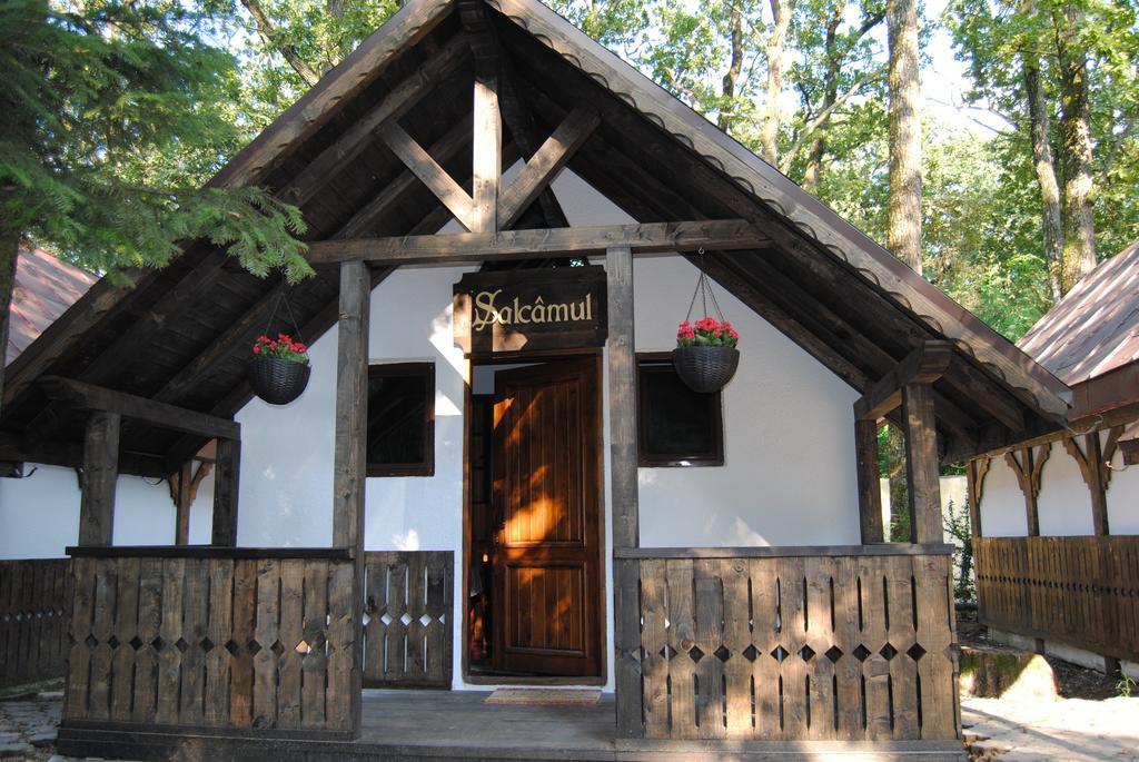 Cornul Vanatorului Bungalows Пітешть Номер фото